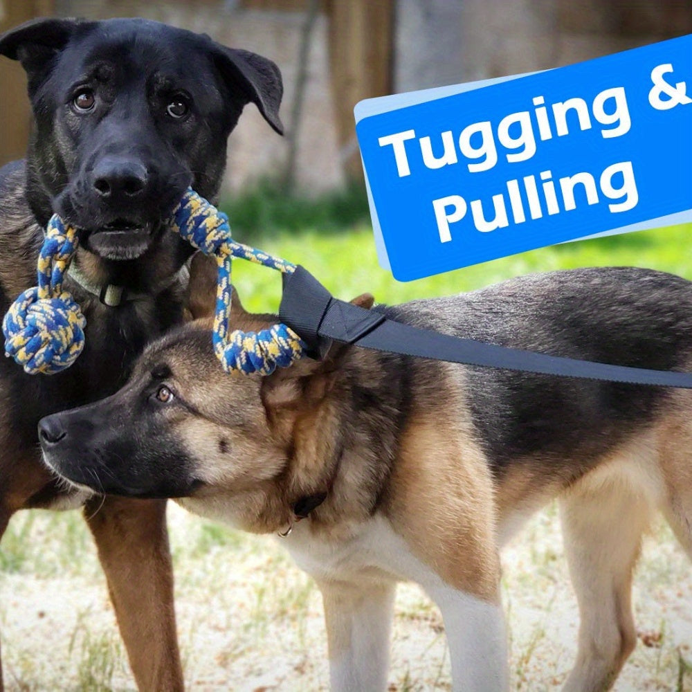 Interactive Bungee Tug Toy – Hanging Dog Toy for Exercise & Play!