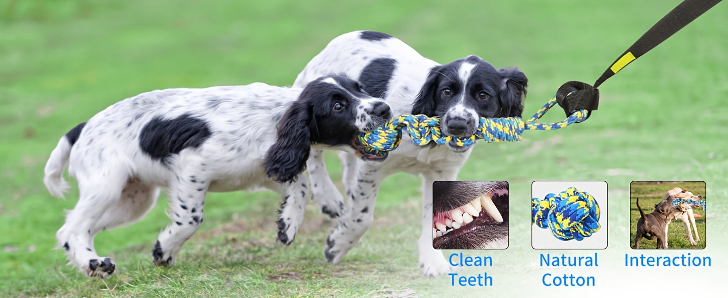 Interactive Bungee Tug Toy – Hanging Dog Toy for Exercise & Play!