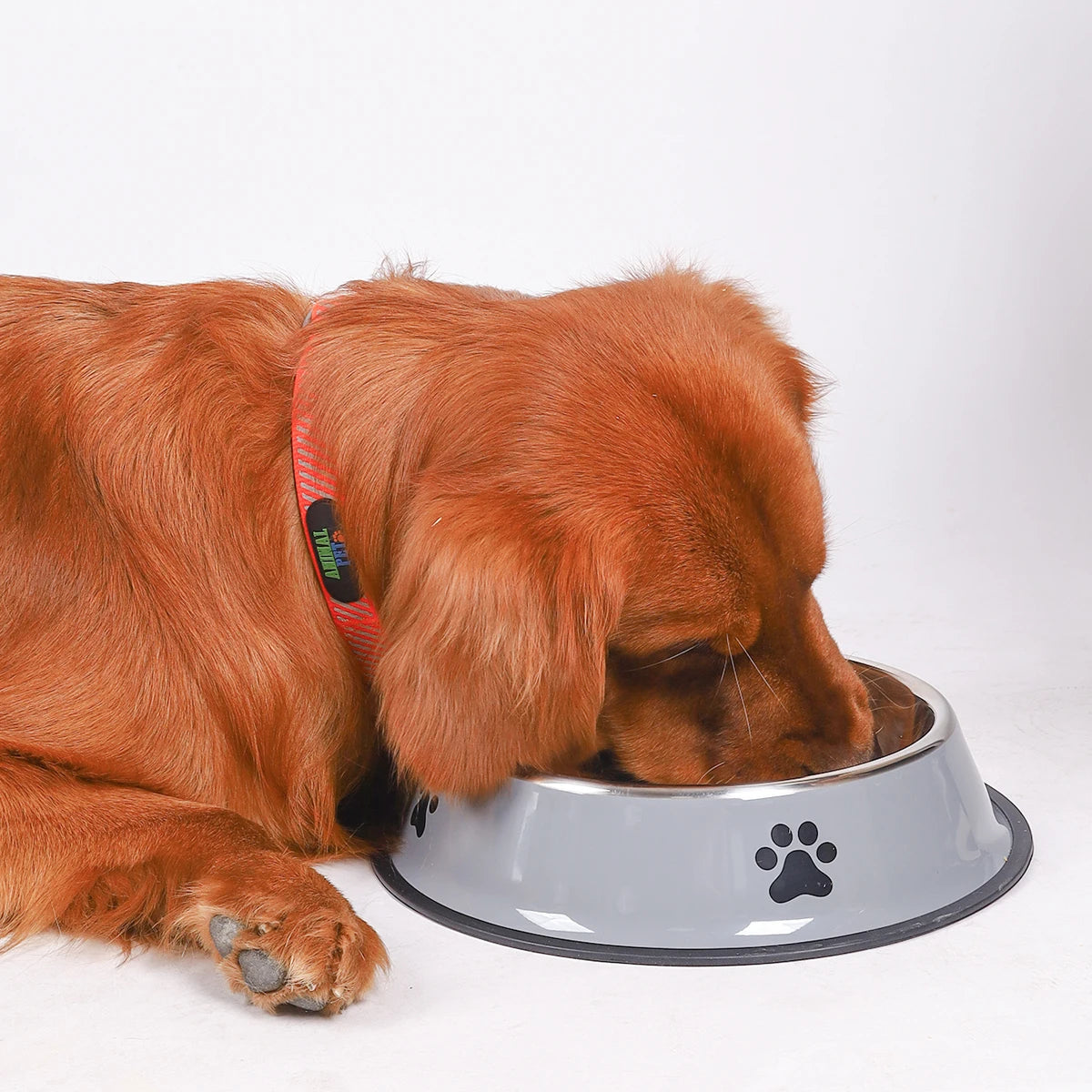 Heavy-Duty Stainless Steel Pet Food Bowl – Safe, Sturdy & Ideal for Feeding!