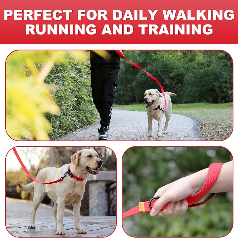 Stay in Charge – Durable, Padded Dual-Handle Dog Leash for All Breeds!