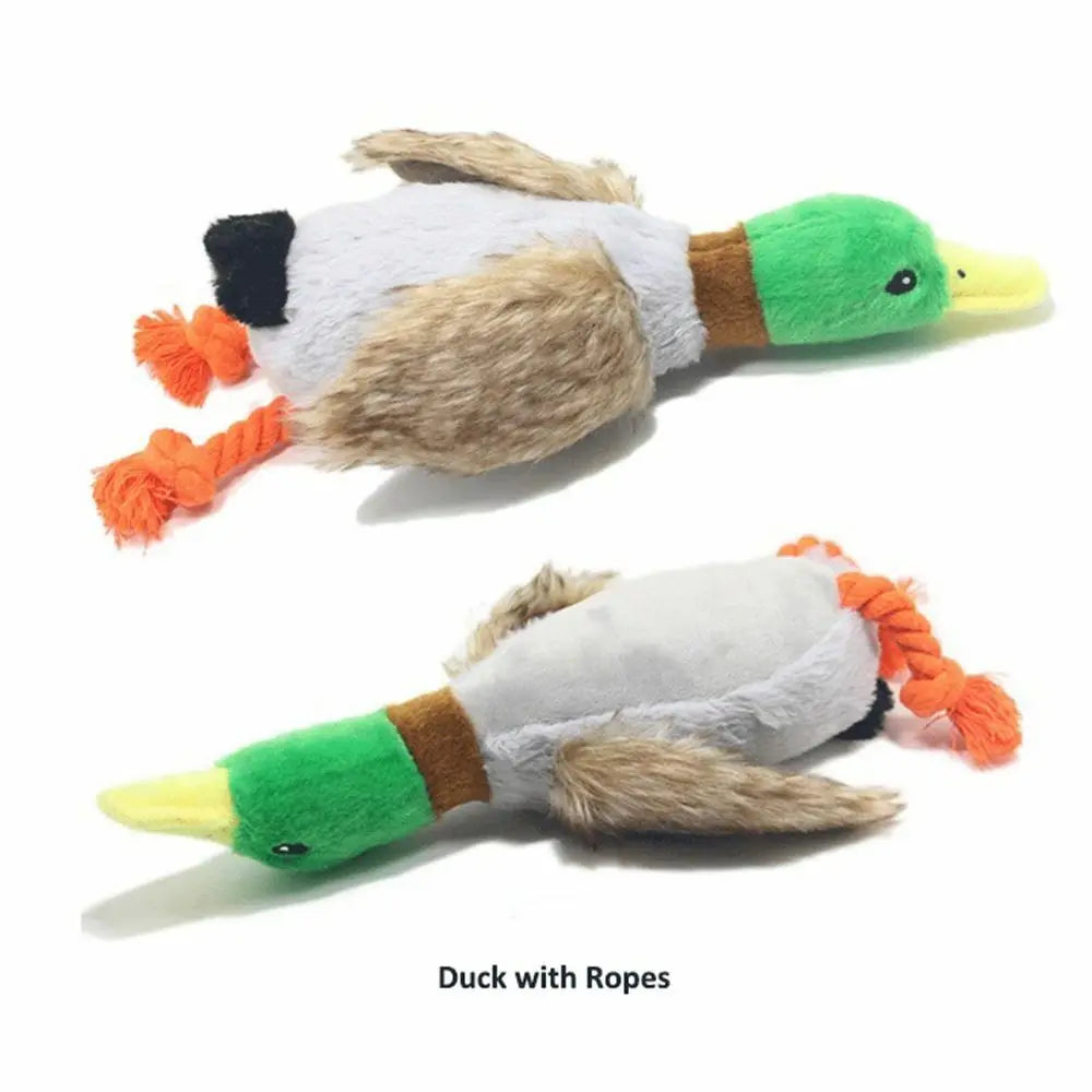- Interactive Duck Dog Toy – Durable, Fun & Ideal for Small & Large Dogs