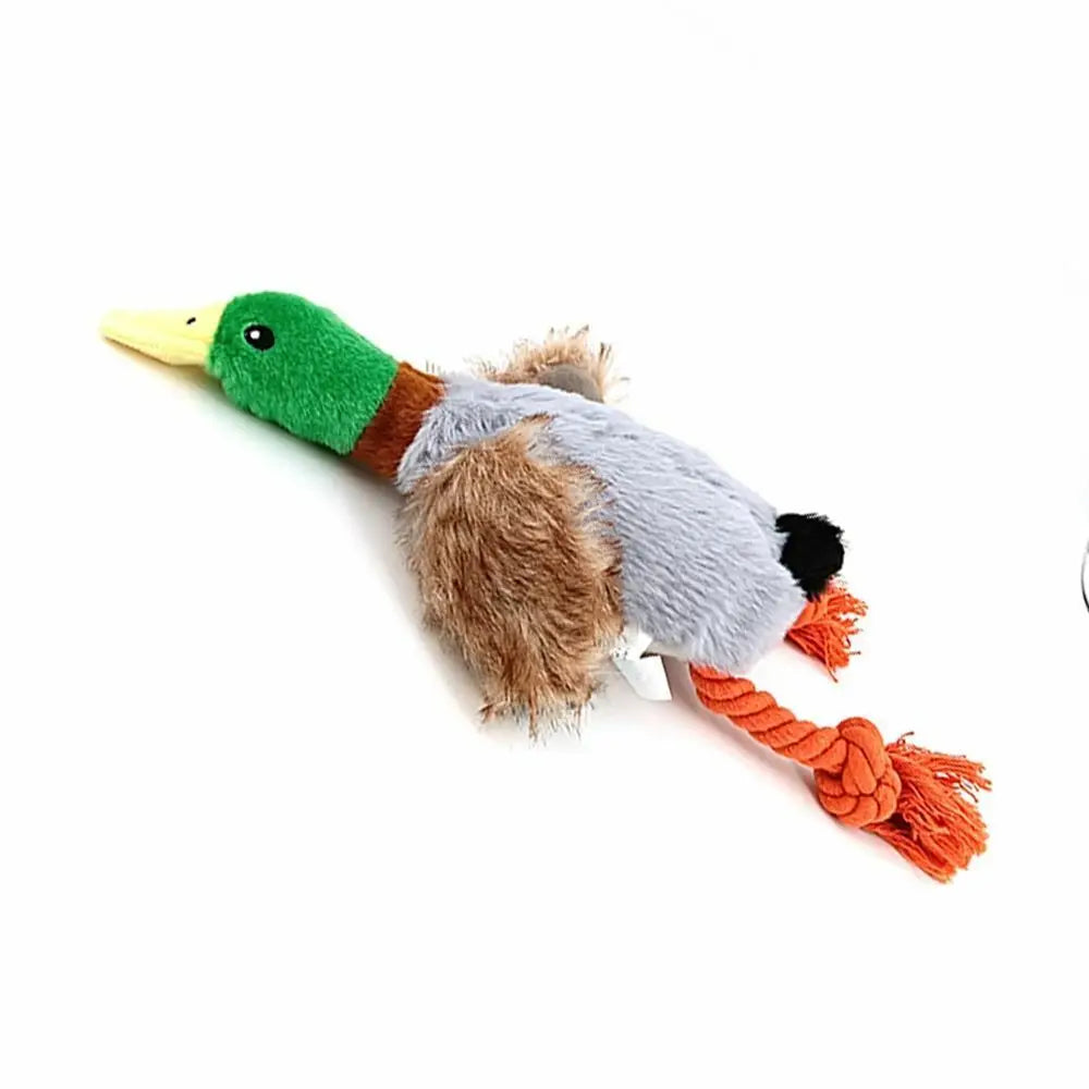 - Interactive Duck Dog Toy – Durable, Fun & Ideal for Small & Large Dogs