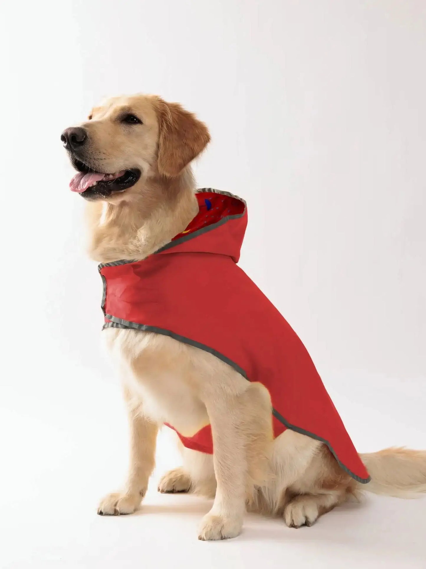 - Bright & Waterproof – Two-Way Wear Dog Raincoat for All-Weather Protection!