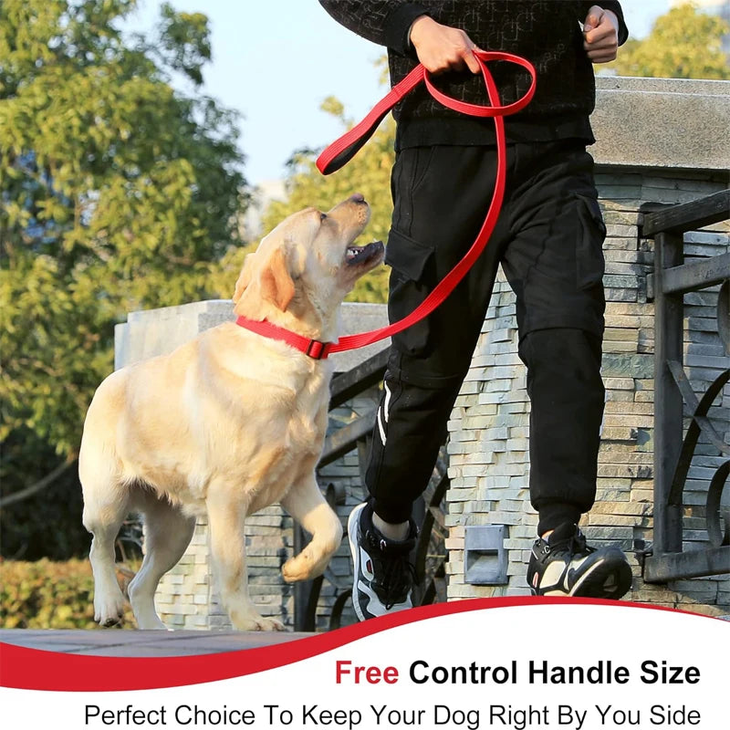Stay in Charge – Durable, Padded Dual-Handle Dog Leash for All Breeds!