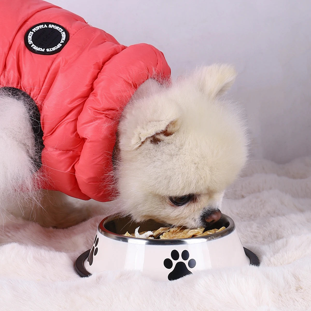 Heavy-Duty Stainless Steel Pet Food Bowl – Safe, Sturdy & Ideal for Feeding!