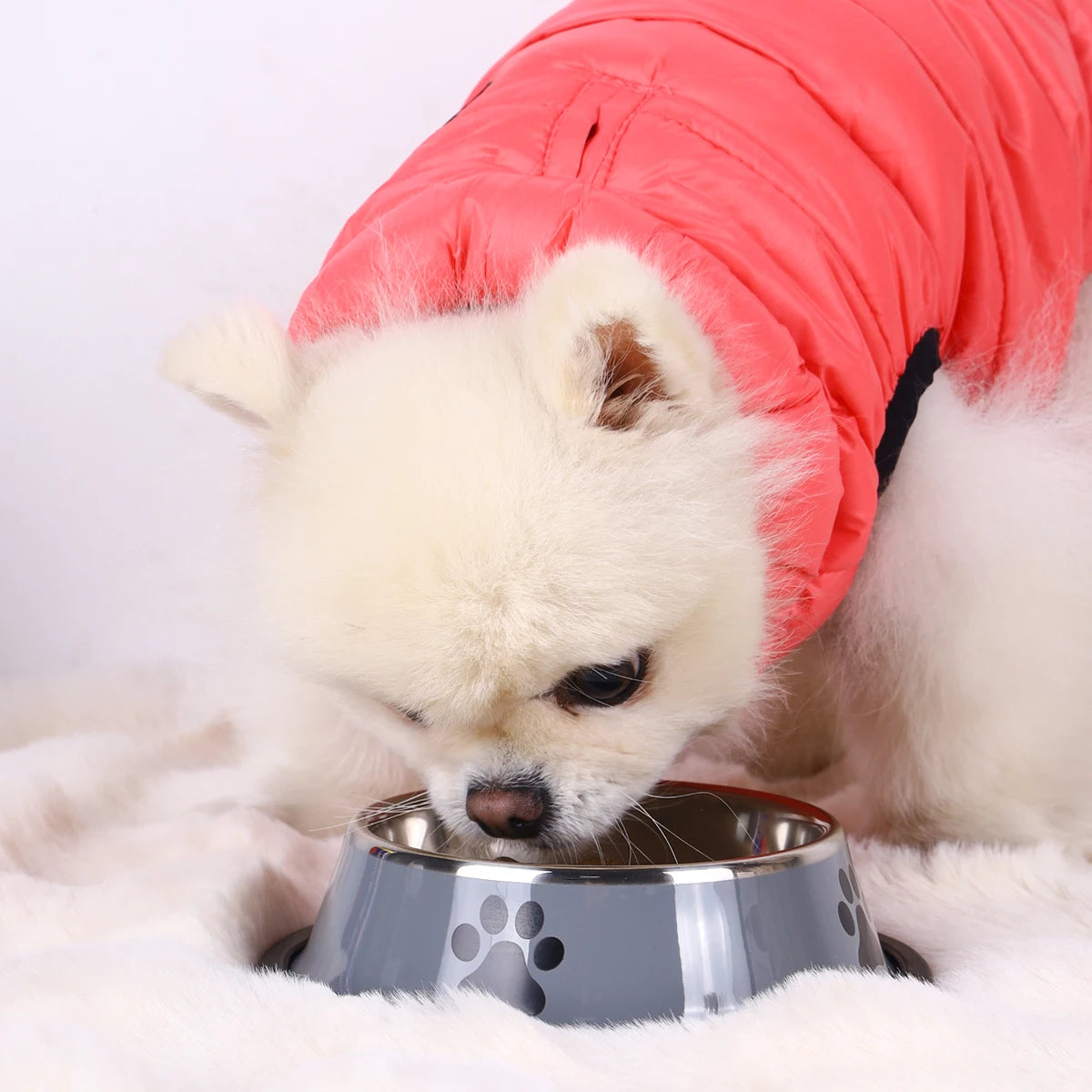 Heavy-Duty Stainless Steel Pet Food Bowl – Safe, Sturdy & Ideal for Feeding!