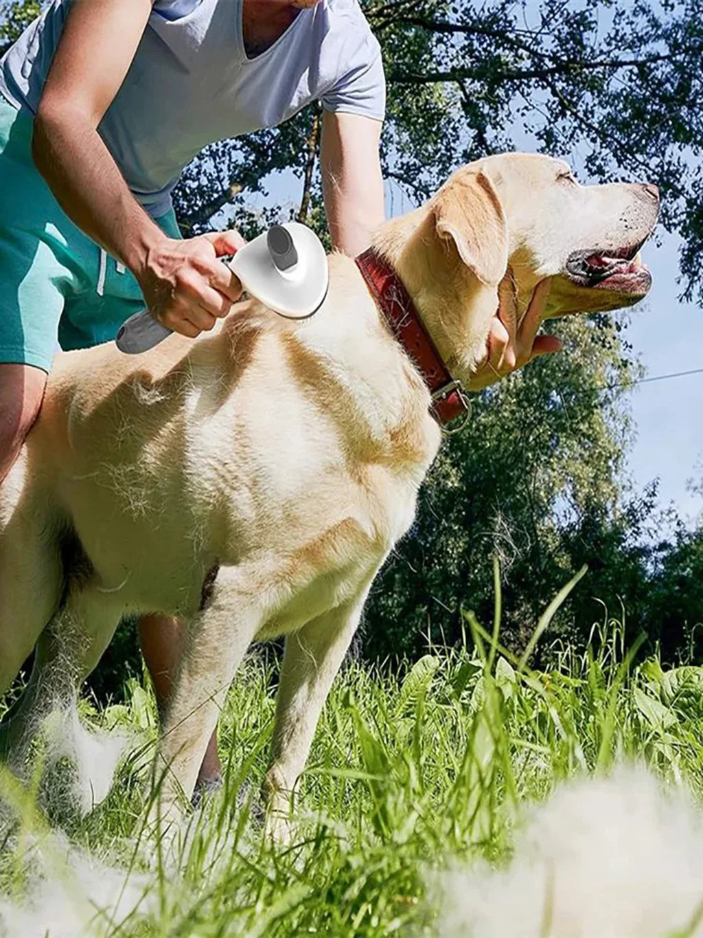 - Tangle-Free Magic! Quick-Clean Pet Hair Remover Brush for Dogs & Cats!