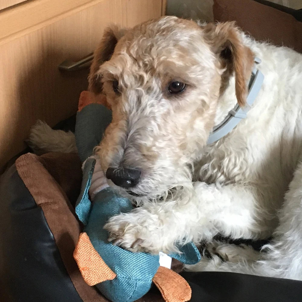 Durable Plush Goose Toy – Bite-Resistant, Squeaky & Great for Playtime