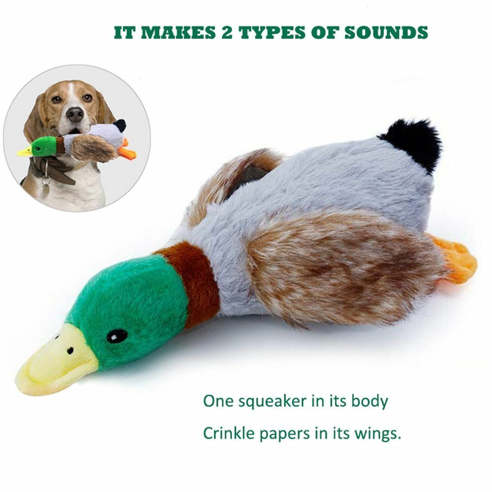 - Interactive Duck Dog Toy – Durable, Fun & Ideal for Small & Large Dogs