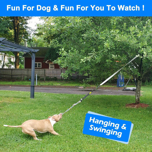 Interactive Bungee Tug Toy – Hanging Dog Toy for Exercise & Play!