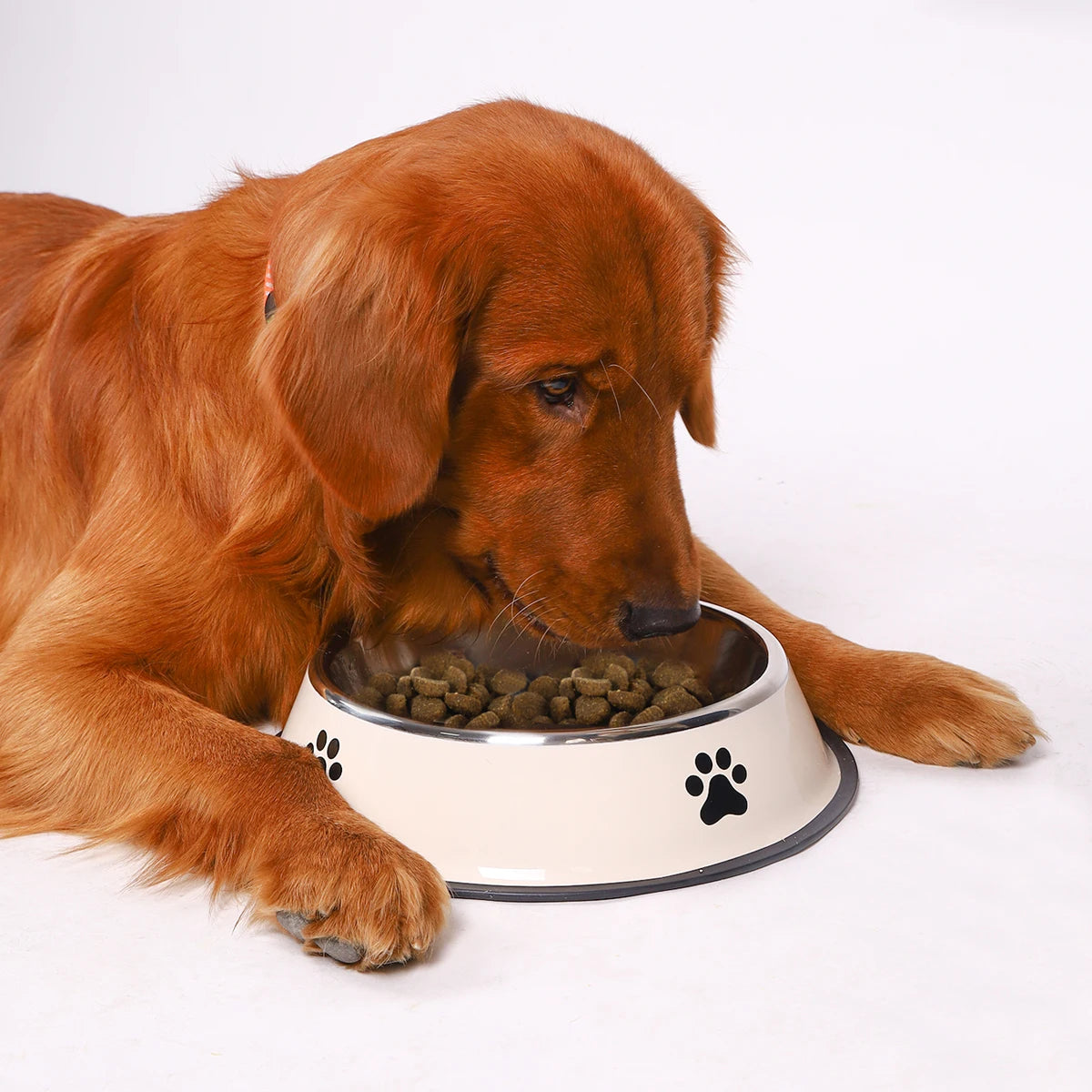 Heavy-Duty Stainless Steel Pet Food Bowl – Safe, Sturdy & Ideal for Feeding!