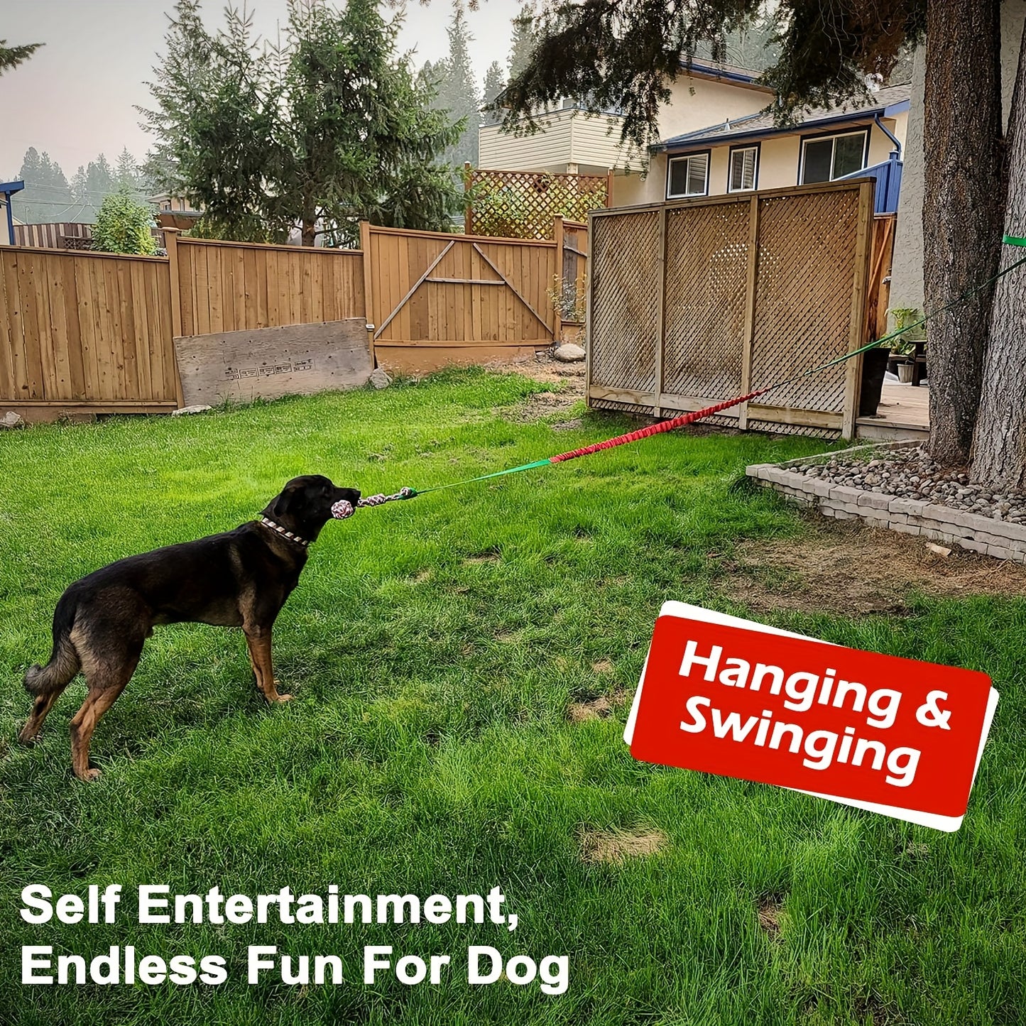 Interactive Bungee Tug Toy – Hanging Dog Toy for Exercise & Play!